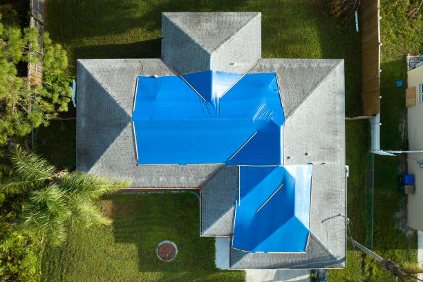 Best Roof Insulation Installation  in Taylor, MI
