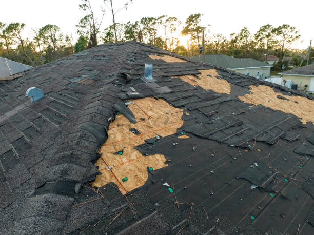 Steel Roofing in Taylor, MI