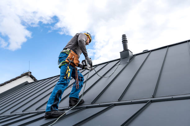 Best Skylight Installation and Repair  in Taylor, MI